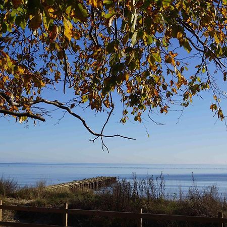 Ystad Camping Luaran gambar