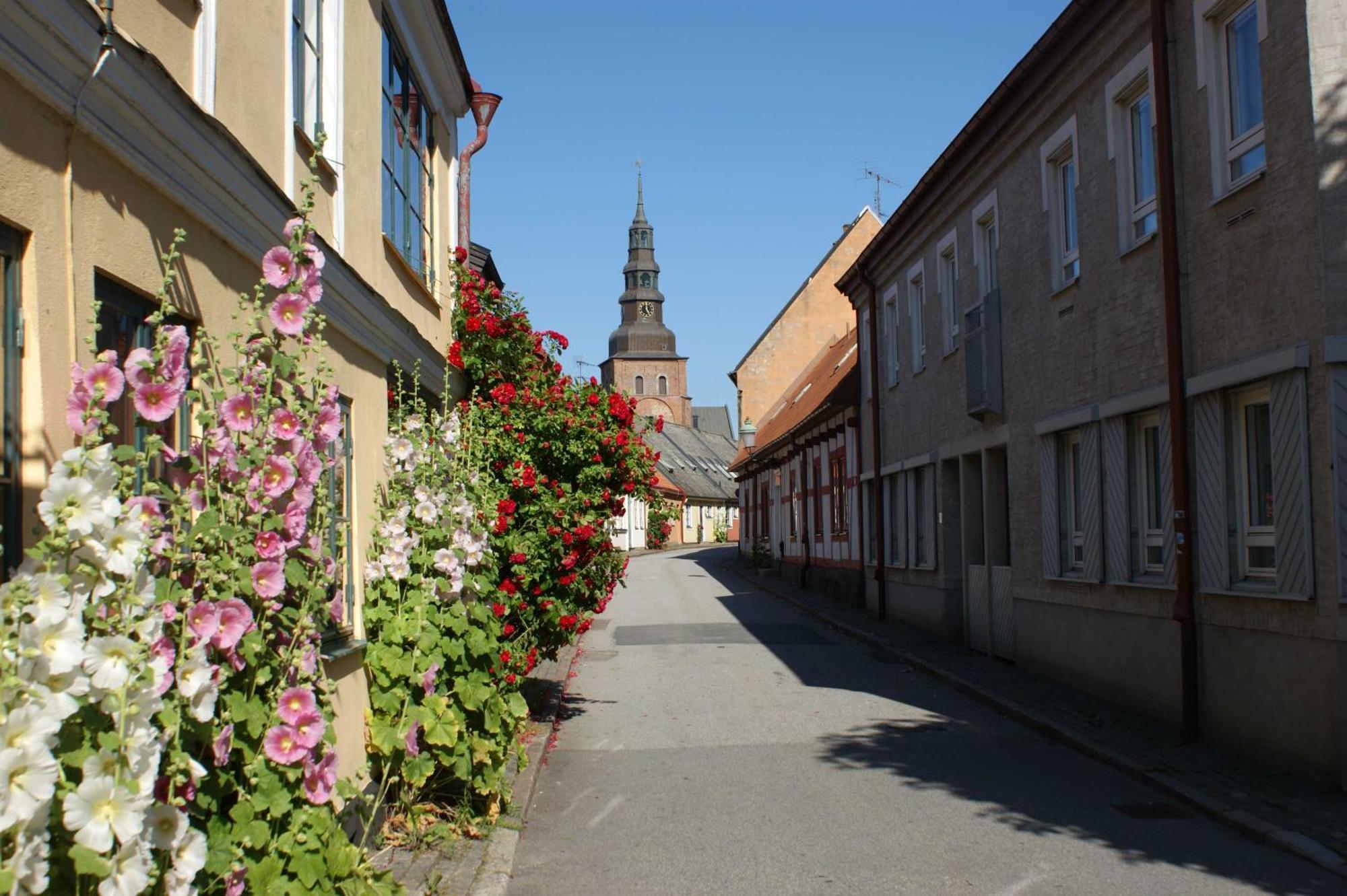 Ystad Camping Luaran gambar