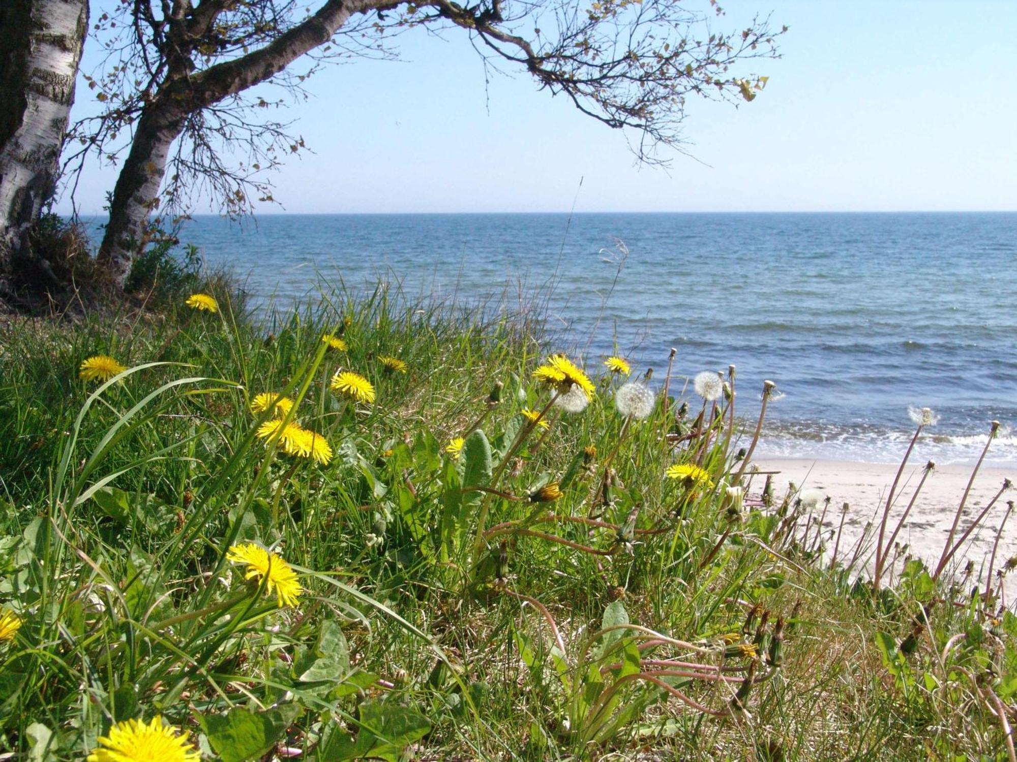 Ystad Camping Luaran gambar